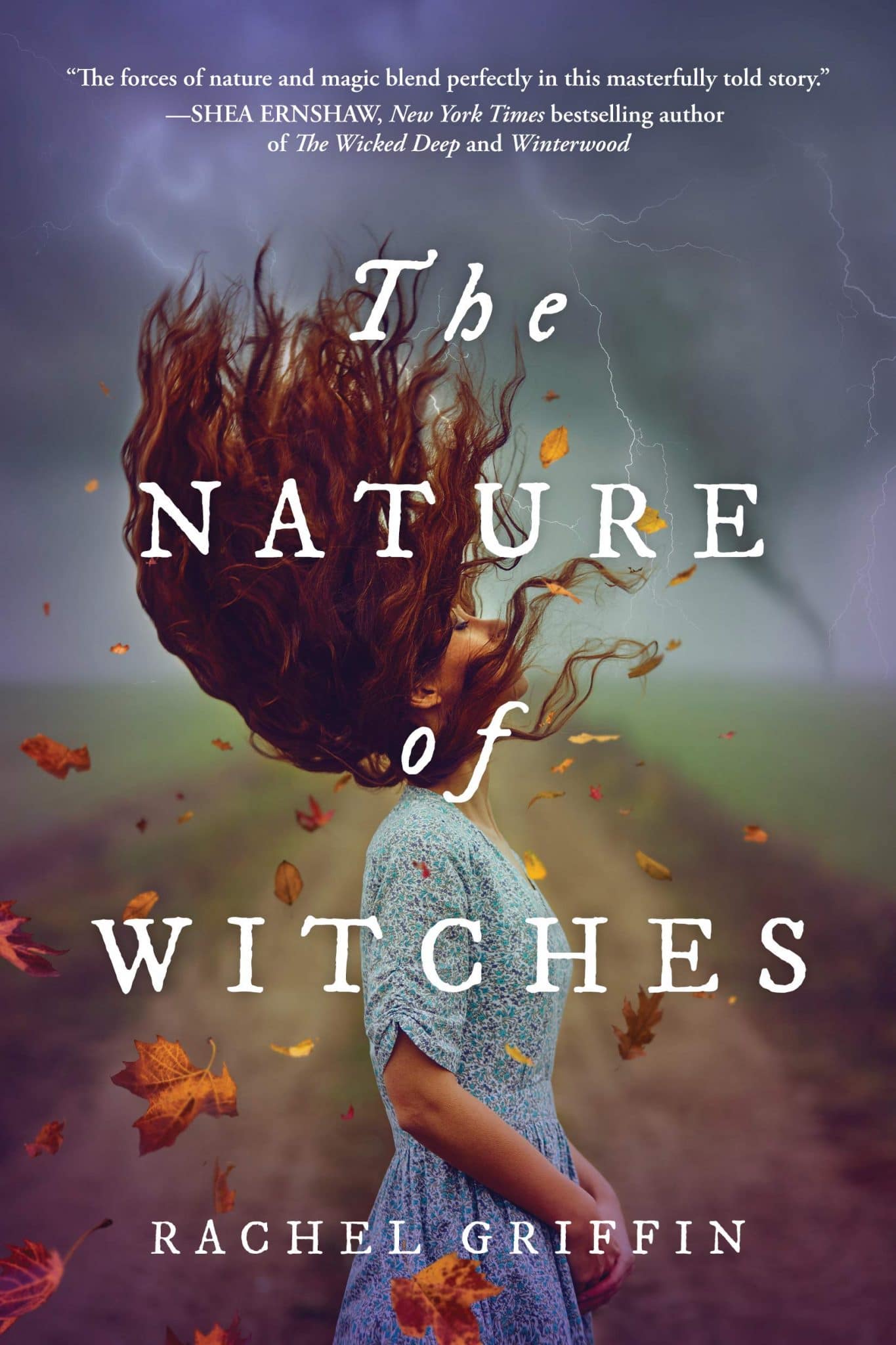 Read more about the article The Nature of Witches by Rachel Griffin